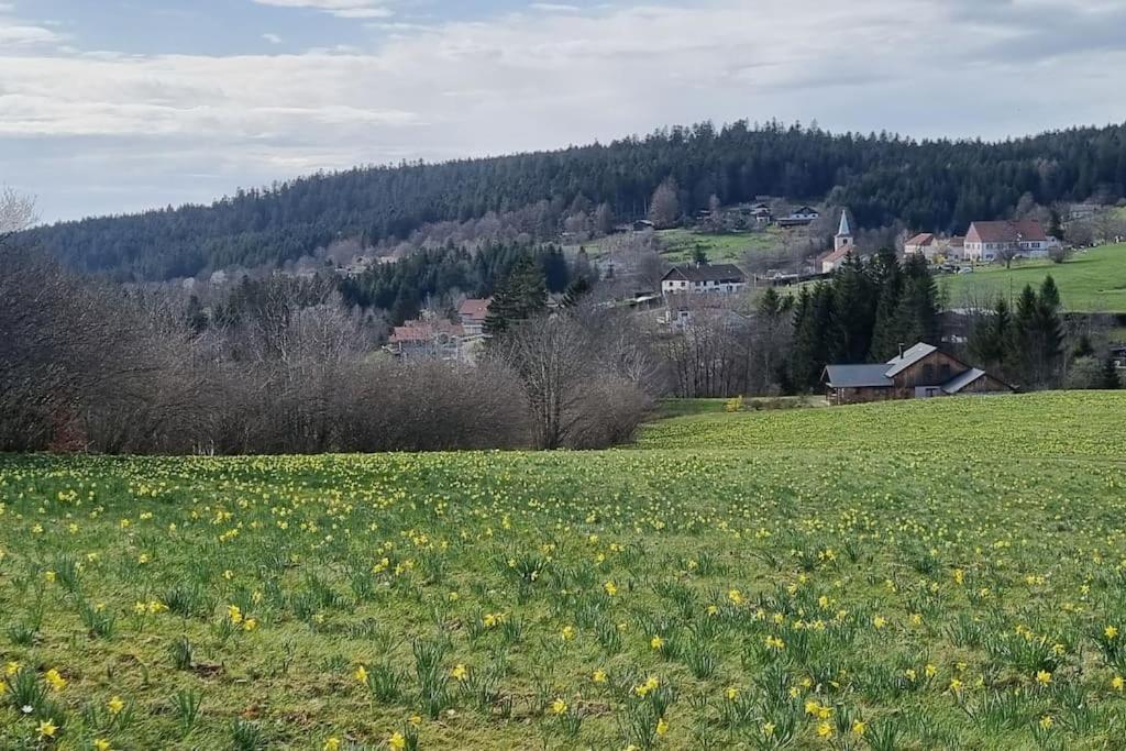 Le Grenier De Jules Et Marguerite Villa Liézey Exteriör bild